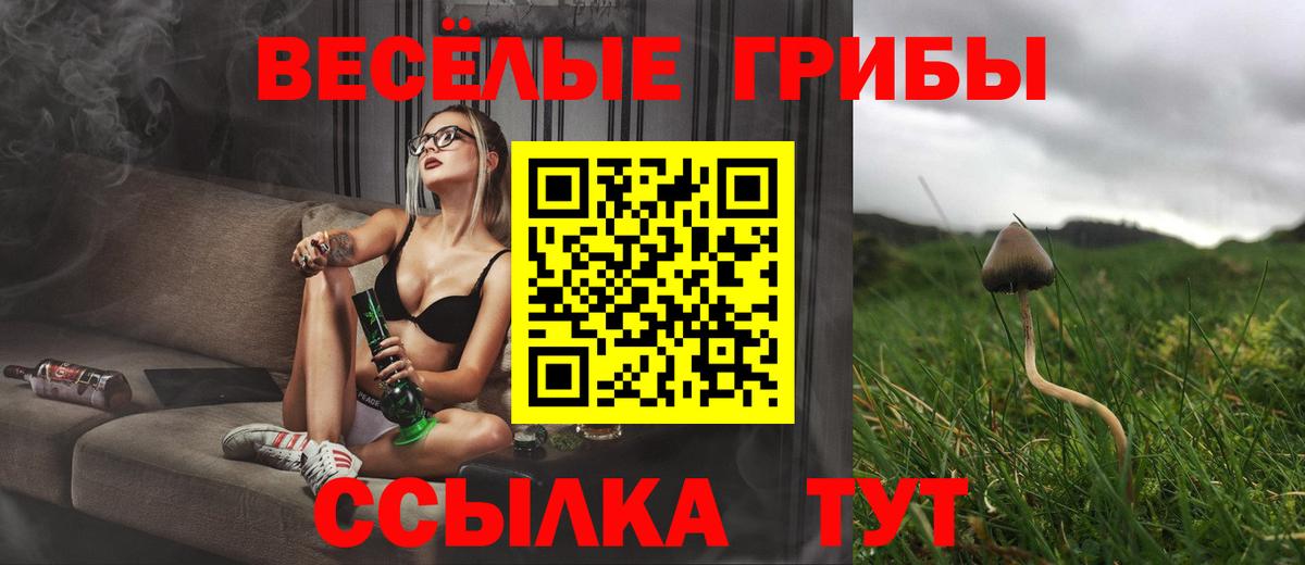 Ливны  Псилоцибиновые грибы мухоморы  Вход с VPN 
